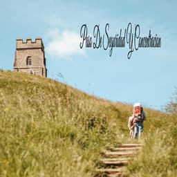 Paso De Seguridad Y Concentracion - Meditar Profundamente