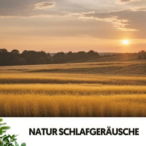 Sons de la Nature : Berceuses de Sérénité - Ruido Blanco Hart