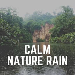 Calm Nature Rain - Heavy Rain Sounds