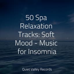 50 Spa Relaxation Tracks: Soft Mood - Music for Insomnia - Fresh Water Sounds For Inner Peace