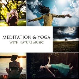 Meditation & Yoga with Nature Music - Meditation Group