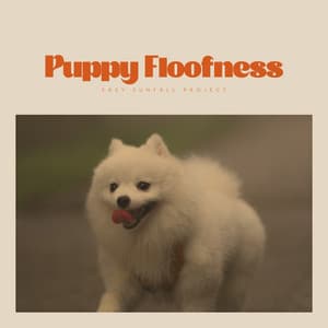 Puppy Floofness - Floof