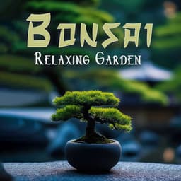 Bonsai Relaxing Garden: Place of Harmony and Peace - Soothing Music Academy