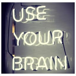 Use Your Brain - Study With Us