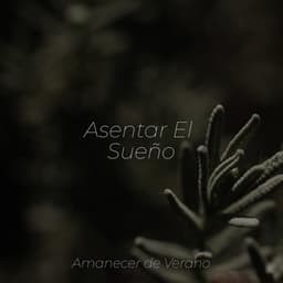 Asentar El Sueño - Sonidos de la Naturaleza Relajacion