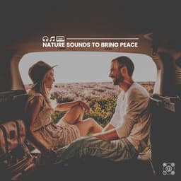 Nature Sounds to Bring Peace - Sound of Nature Library