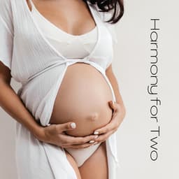 Harmony for Two: Music to Soothe Pregnancy Stress - Pregnant Women Music Company