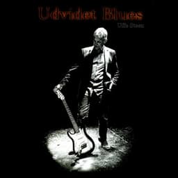 Udvidet Blues - Uffe Steen
