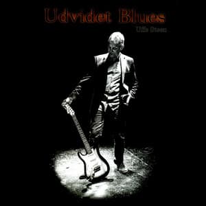 Udvidet Blues - Uffe Steen