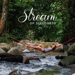 Stream of Sleepiness: Soothing Sounds with Water Background for the Deepest Phase of Sleep - Deep Sleep Music Masters