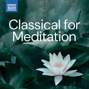 Classical for Meditation - Camille Saint-Saëns