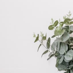 Collecting Dandelions - Axelites