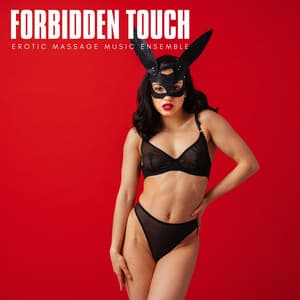 Forbidden Touch: Sensual Grooves - Erotic Massage Music Ensemble