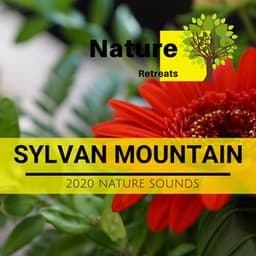 Sylvan Mountain - 2020 Nature Sounds - Meditation Atmospheres