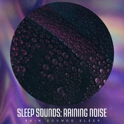 Sleep Sounds: Raining Noise - Rain Sounds Sleep