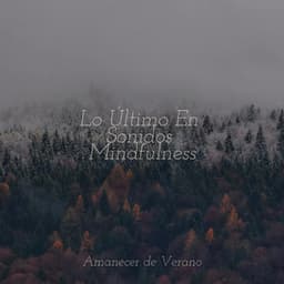 Lo Último En Sonidos Mindfulness - Música Para Meditar y Relajarse