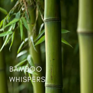 Bamboo Whispers - Spa Music Relaxation Therapy
