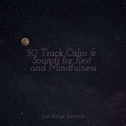 50 Track Calm & Sounds for Rest and Mindfulness - Pro Sound Effects Library