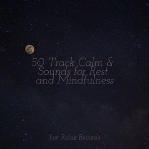50 Track Calm & Sounds for Rest and Mindfulness - Pro Sound Effects Library