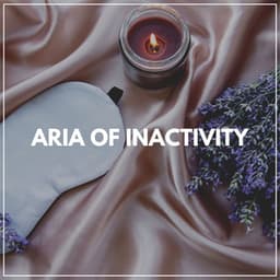 Aria of Inactivity - Calm Music For Sleeping