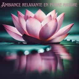 Ambiance relaxante en pleine nature - Ensemble de Musique Zen Relaxante
