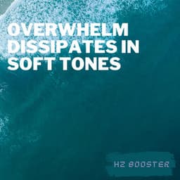 Overwhelm Dissipates in Soft Tones - Hz Booster
