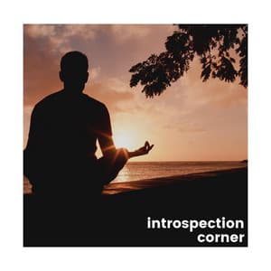Introspection Corner - Transcendental Meditation