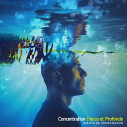 Concentration Douce et Profonde - Musique de Concentration