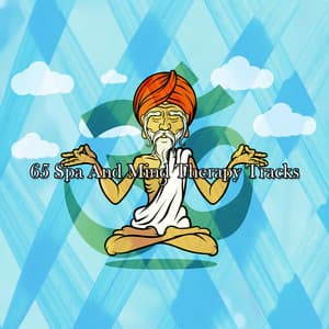 65 Spa And Mind Therapy Tracks - Meditation Music Masters