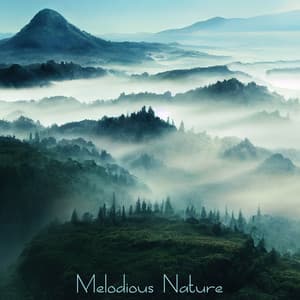 Melodious Nature: Mellow Instrumental Music With Most Beautiful Nature Noise - Heilende Geräusche Der Natur Academie