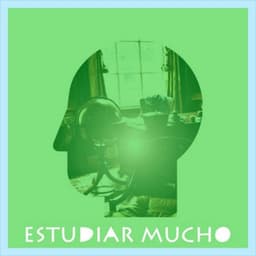 Música para Trabajar, Concentrarse, Memorizar, Meditación, Relajación, Dormir, Yoga, Bienestar, Zen - Estudiar Mucho