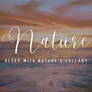 Moonlit Slumber: Sleep with Nature's Lullaby - Winds Of Minds