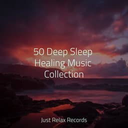 50 Deep Sleep Healing Music Collection - Music For Absolute Sleep