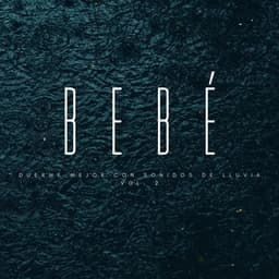 Bebé: Duerme Mejor Con Sonidos De Lluvia Vol. 2 - Lluvia y Naturaleza