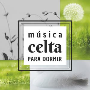Música Celta para Dormir - 20 Canciones Instrumentales y Sonidos de la Naturaleza Dormir Feliz y en Paz - Sonar de Noche Maestro