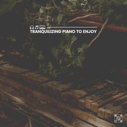 Tranquilizing Piano to Enjoy - Piano Piano
