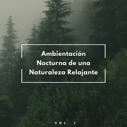 Ambientación Nocturna De Una Naturaleza Relajante Vol. 1 - Últimos sonidos de la naturaleza