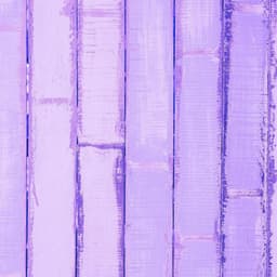 Bossa Guitars - Bgm for Brave Passion - Fine Dining Music