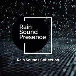 Rain Sound Presence - Rain Sounds Collection