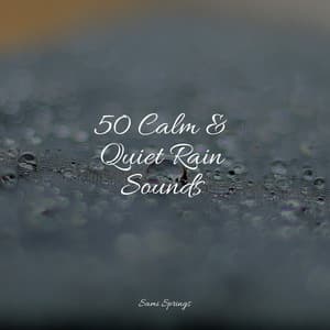 50 Calm & Quiet Rain Sounds - Restaurant Background Music