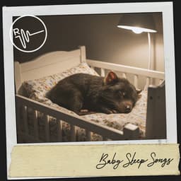 Baby Sleep Songs: Baby Serenity - Ruido Blanco Hart