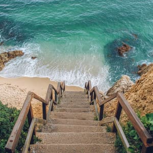 Soft Serenity: Calm Tunes for Relaxation - Music for Plants