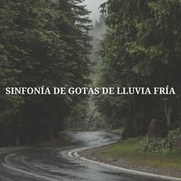 Sinfonía De Gotas De Lluvia Fría - Las Olas Del Mar