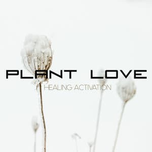 Healing Activation - Plant Love