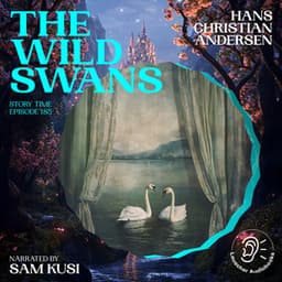 The Wild Swans - Story Time