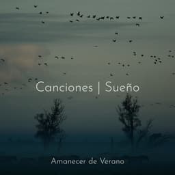 Canciones | Sueño - Sons da Natureza