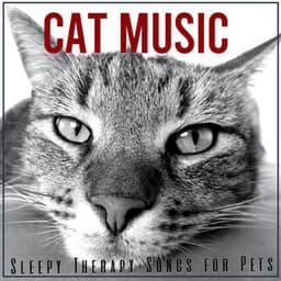 Cat Music: Sleepy Therapy Songs for Pets - Cat Music