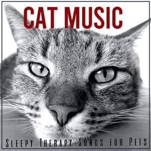 Cat Music: Sleepy Therapy Songs for Pets - Cat Music