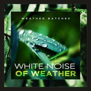 White Noise of Weather - Weather Batches
