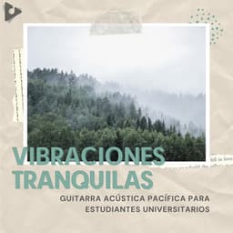 Guitarra Acústica Pacífica Para Estudiantes Universitarios - Vibraciones Tranquilas